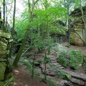 Hiking in Luxemberg, near Mullerthal by Kees van Dun