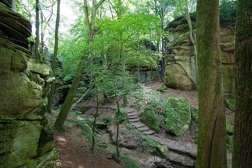 Wandelen in Luxemberg, bij Mullerthal