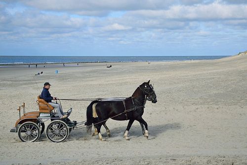 Paardenkoets op het strand