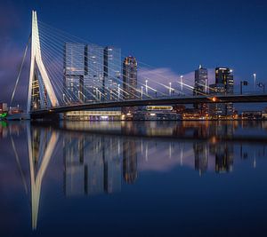 Rotterdam skyline reflections