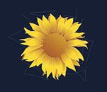 Sonnenblume von Oscuro design Miniaturansicht