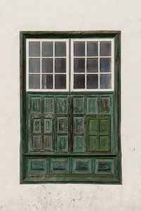 grüne Fenstertür