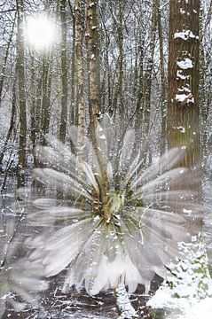 Bomen in winterijs met witte bloemen van Art by Janine