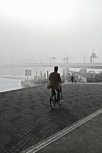 Cycliste dans le brouillard à Rotterdam.