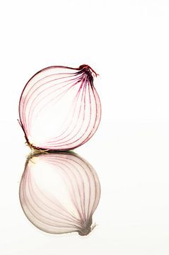 Red onion with mirror by Doris van Meggelen