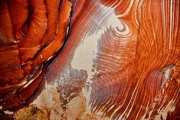 Die Naturkunst der Felsen von Petra von Frank Photos