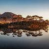 Pine Island - Connemara sur Peter Bijsterveld
