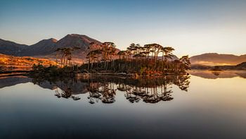 Pinieninsel - Connemara