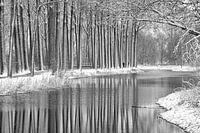 Winter in het park