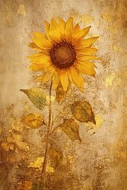 Sonnenblume abstrakt von Imagine