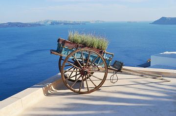 Zonnig terras in Santorini - Bloemenkar en uitzicht op de Egeïsche Zee van Carolina Reina