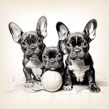 Drei kleine Bulldoggen spielen mit dem Ball von Heike Hultsch