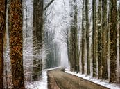 Winter in Velhorst van Lars van de Goor thumbnail