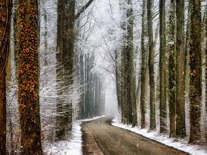 Winter in Velhorst by Lars van de Goor
