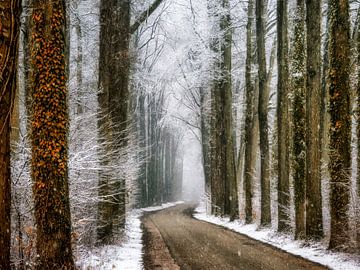 Winter in Velhorst van Lars van de Goor