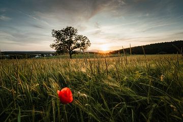 Zonsondergang van Andre Michaelis