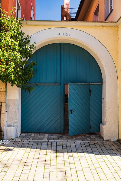 Naar binnen gelopen van Joris Machholz