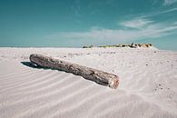 Nordsee-Sommer auf Amrum von enroute Miniaturansicht