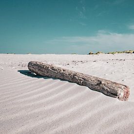 Nordsee-Sommer auf Amrum von enroute