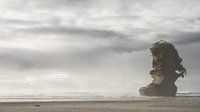 Le rock dans le surf
