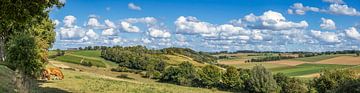 Panorama van de Fromberg in Zuid-Limburg van John Kreukniet