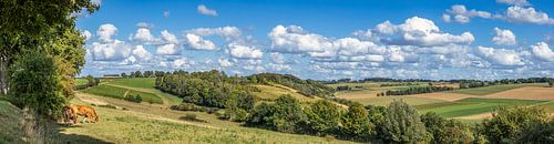 Panorama van de Fromberg in Zuid-Limburg