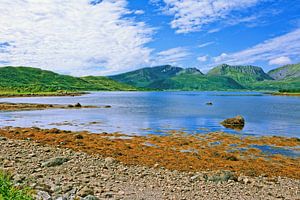 Am Risøysund auf den Vesterålen