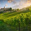 Village de Neive et vignobles des Langhe, Italie sur Stefano Orazzini