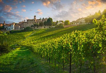Neive dorp en Langhe wijngaarden, Italië van Stefano Orazzini