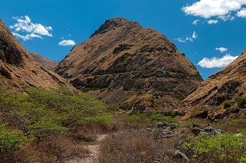 Ecuador: La Nariz del Diablo (Alausí) van Maarten Verhees