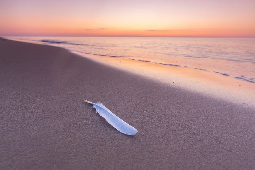 Baltic Sea beach in Sweden by Sven-Erik Arndt