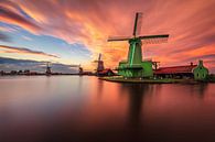 Mesmerizing sunset by the Zaanse Schans van Costas Ganasos thumbnail