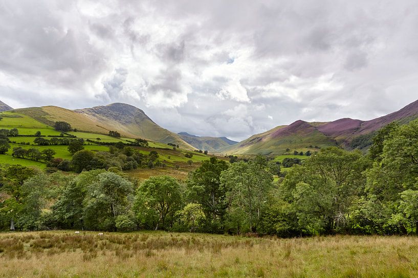 English countryside by Graham Forrester