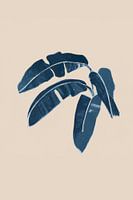 Palm Indigo