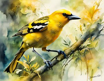 Prachtige vogels van de wereld - Wielewaal vogel1 van Johannas Art Creations