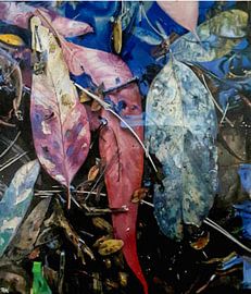 Leaves in a puddle