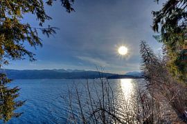 From the forest to the Walchensee by Roith Fotografie