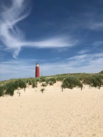 Lighthouse Texel by tania mol