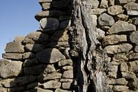 Reste eines Holzbalkens an einer Natursteinmauer