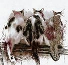 Feline Chow Time by Dorothy Berry-Lound thumbnail