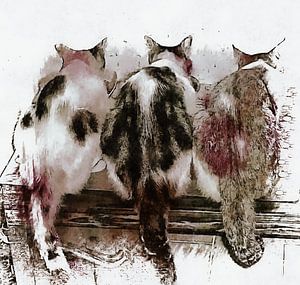 Feline Chow Time