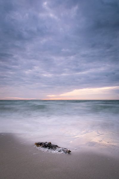 Küste der Ostsee am Darß von Tobias Luxberg