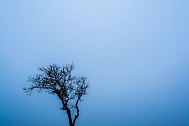 Growing in Silence by @rsphotograp_hy