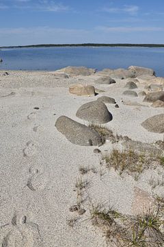Sand entlang des großen Flusses von Claude Laprise