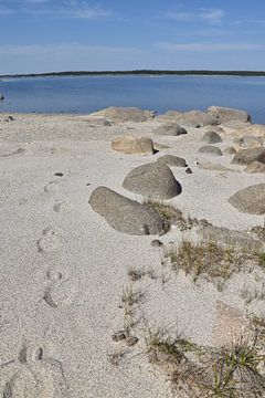 Zand langs de grote rivier van Claude Laprise