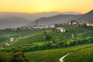 Prosecco-Weinberge und das Dorf San Pietro di Barbozza