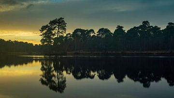 Oisterwijkse Bossen en Vennen, Van Esschenven by Patrick Rosenthal