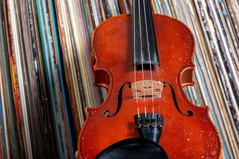 Geige von Thomas Heitz