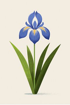 Kroatische Iris, botanische Illustration im minimalistischen Stil von Eduard Broekhuijsen