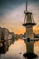 molen de Kameel in Schiedam